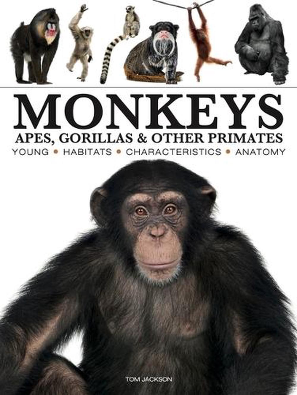 Monkeys, 9781838866044