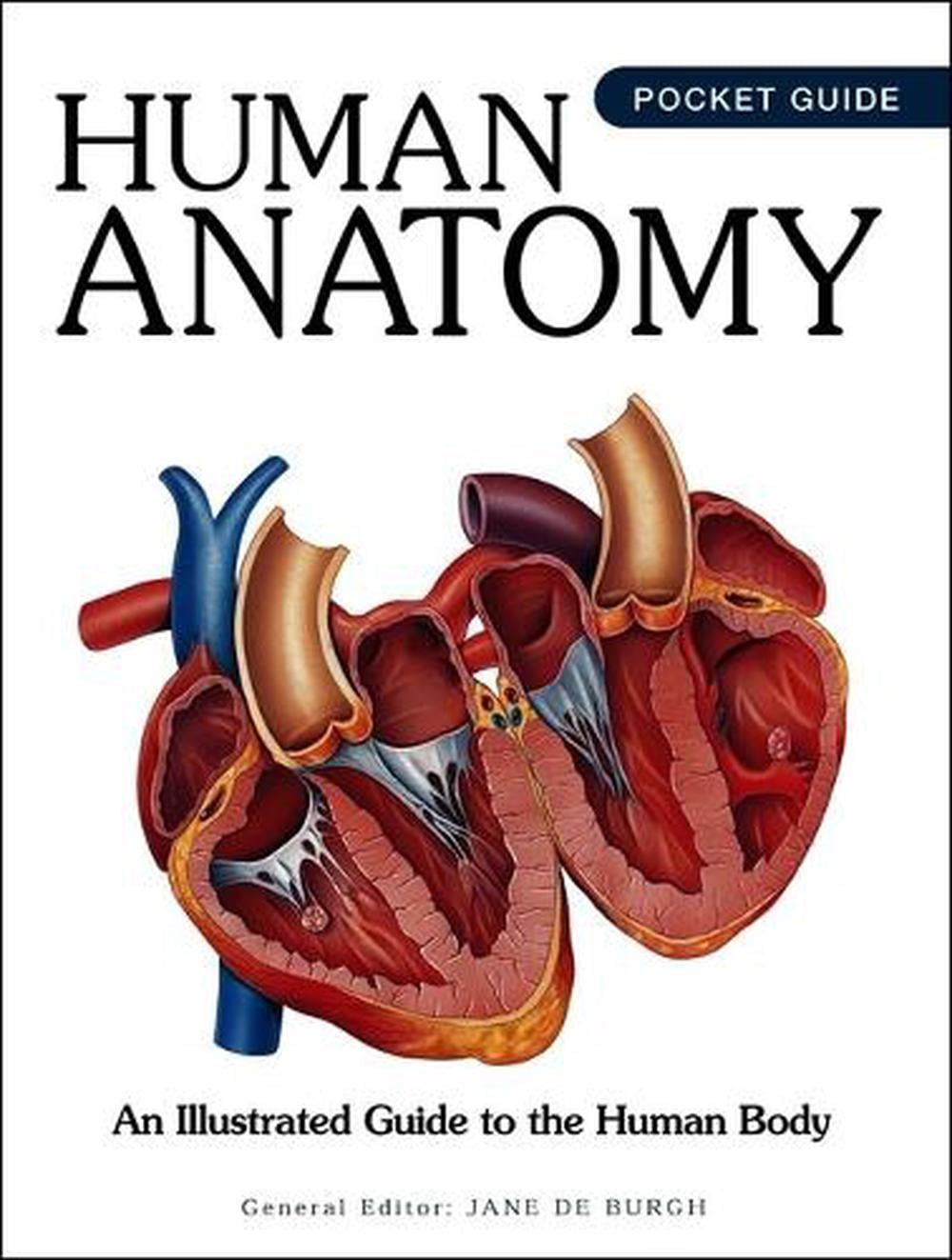 Human Anatomy by Jane de Burgh - ISBN: 9781838866525