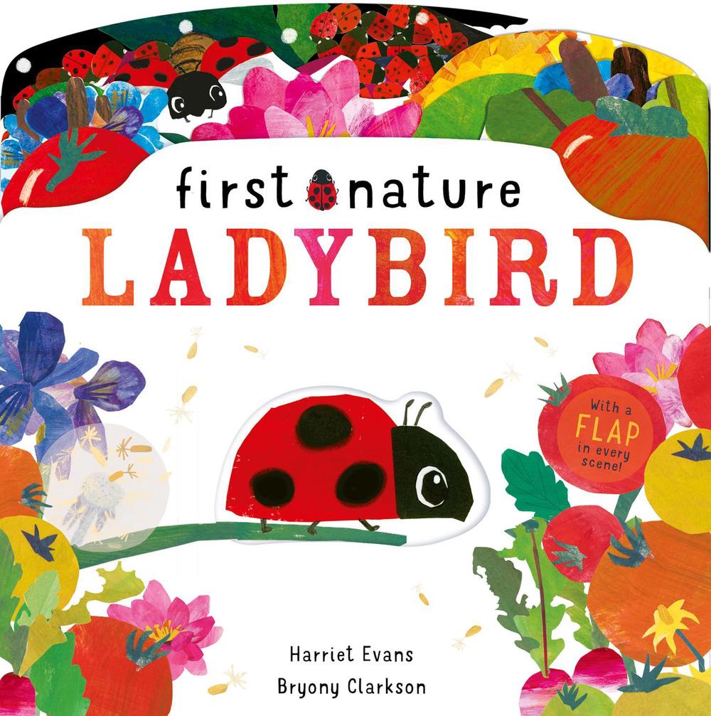 Ladybird by Harriet Evans - ISBN: 9781838911560