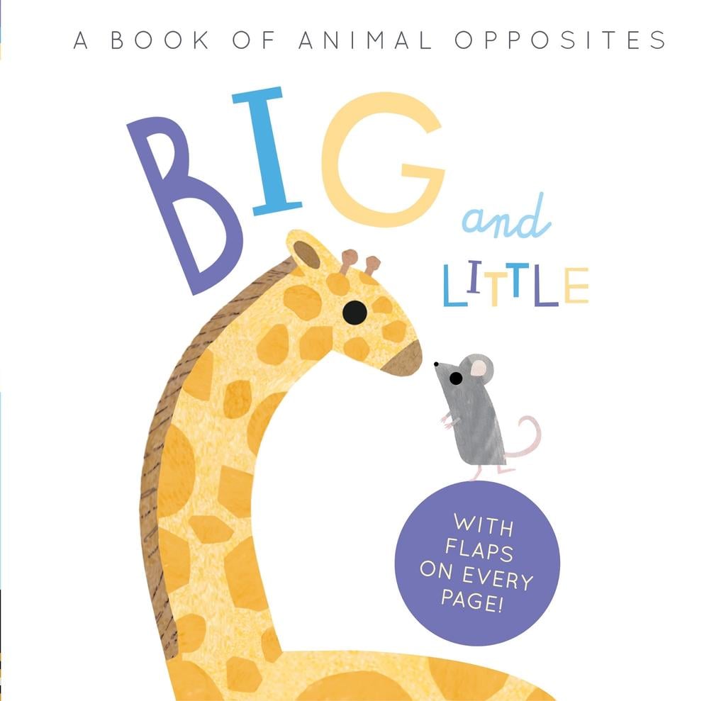 Big and Little by Harriet Evans - ISBN: 9781838913205