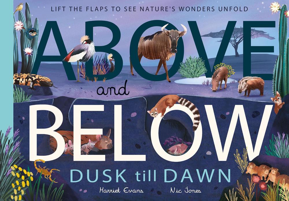 Above and Below: Dusk till Dawn by Harriet Evans - ISBN: 9781838914028