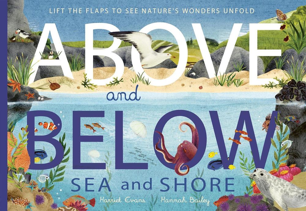 Above and Below: Sea and Shore by Harriet Evans - ISBN: 9781838915056