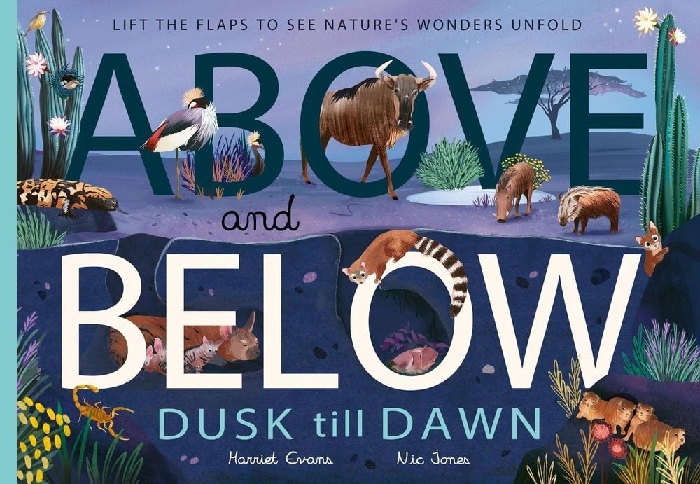 Above and Below: Dusk till Dawn by Harriet Evans - ISBN: 9781838916480