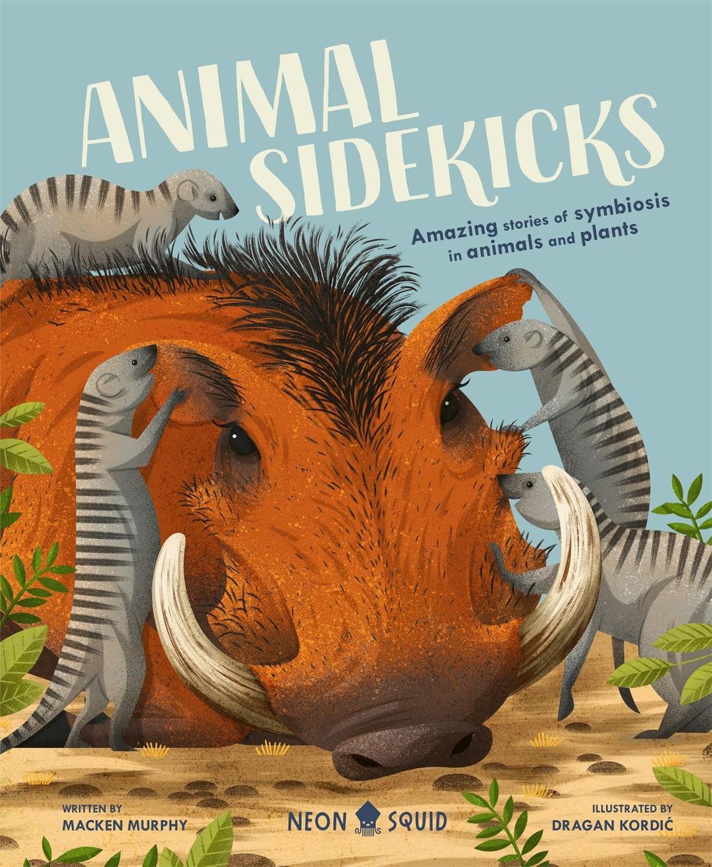 Animal Sidekicks by Macken Murphy - ISBN: 9781838991531