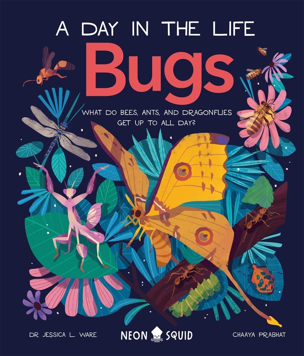 Bugs (A Day in the Life) by Chaaya Prabhat - ISBN: 9781838991555