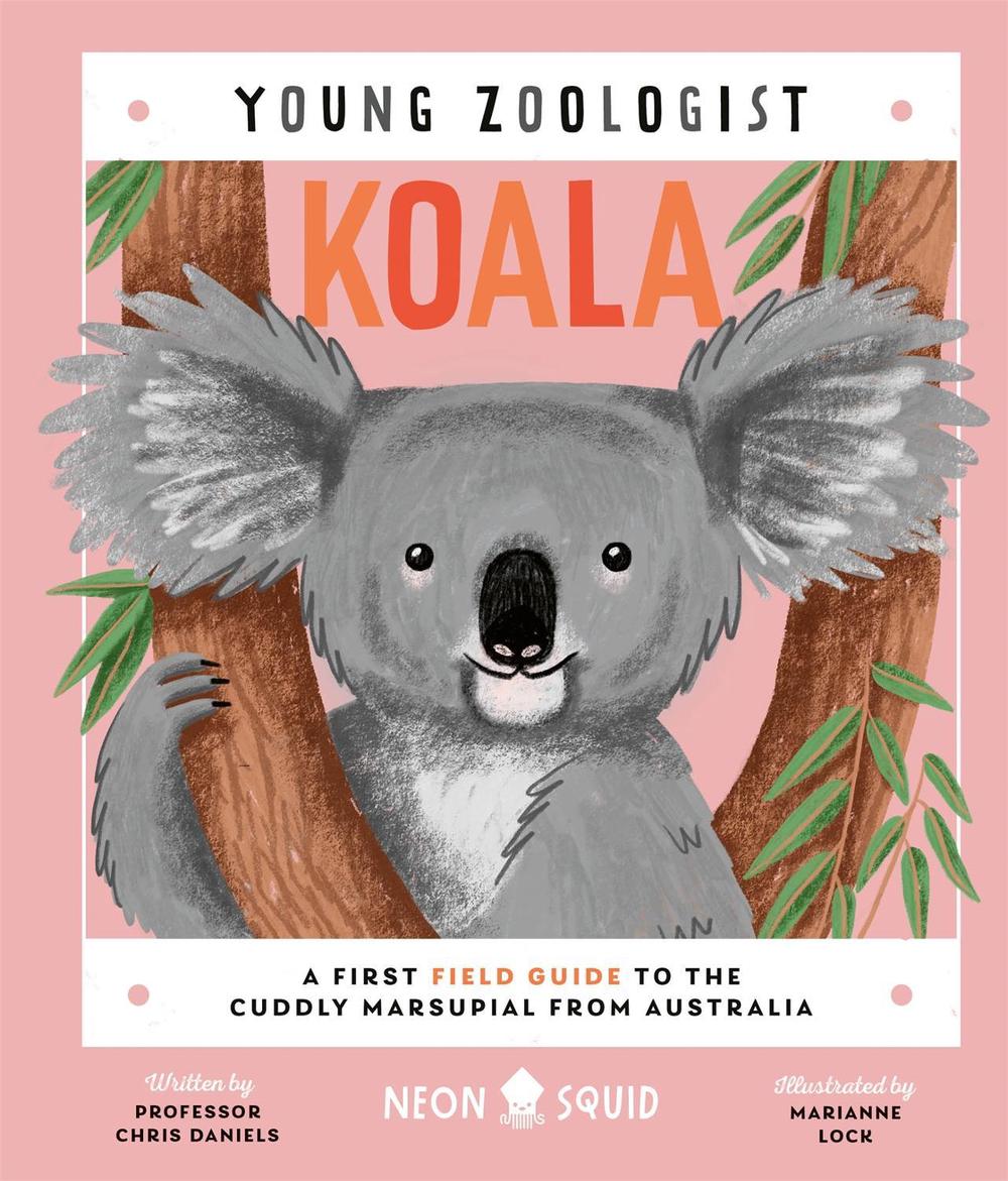 Koala (Young Zoologist) by Chris Daniels - ISBN: 9781838992729