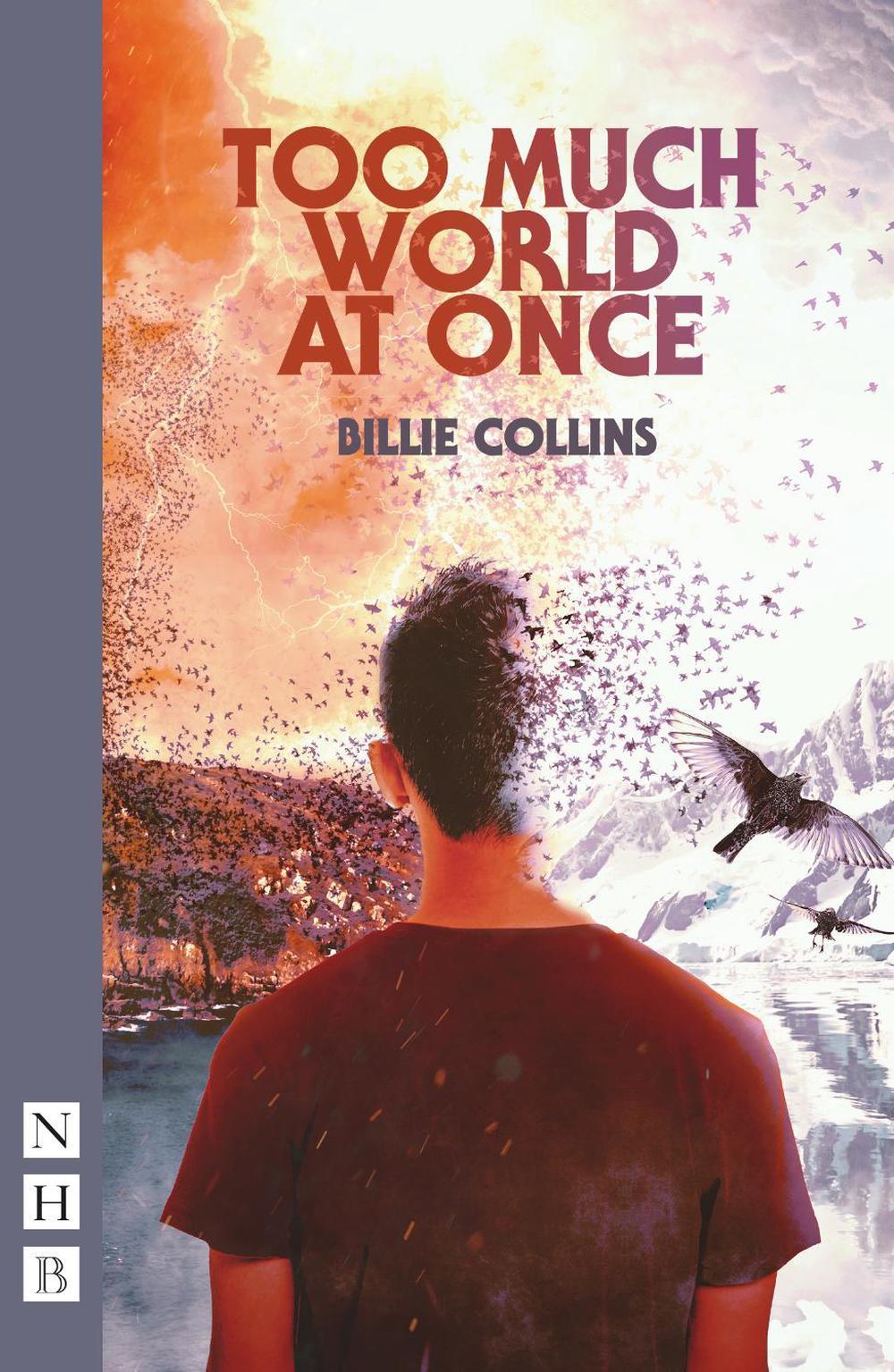 Too Much World at Once by Billie Collins, Paperback, 9781839041358 ...