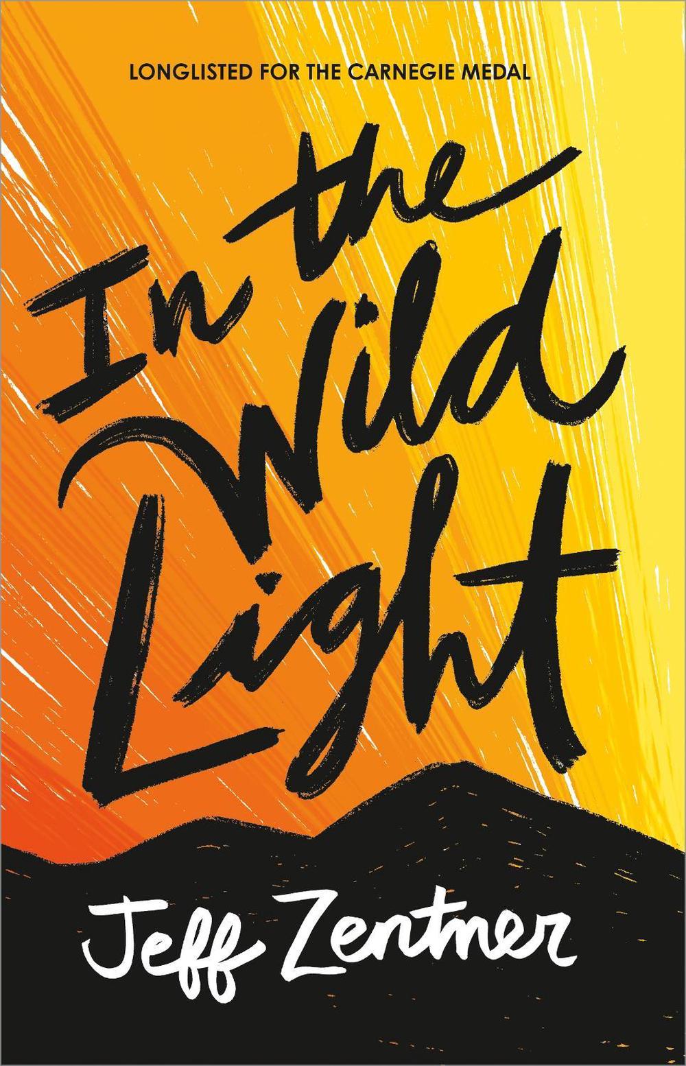 In the Wild Light by Jeff Zentner - ISBN: 9781839130847