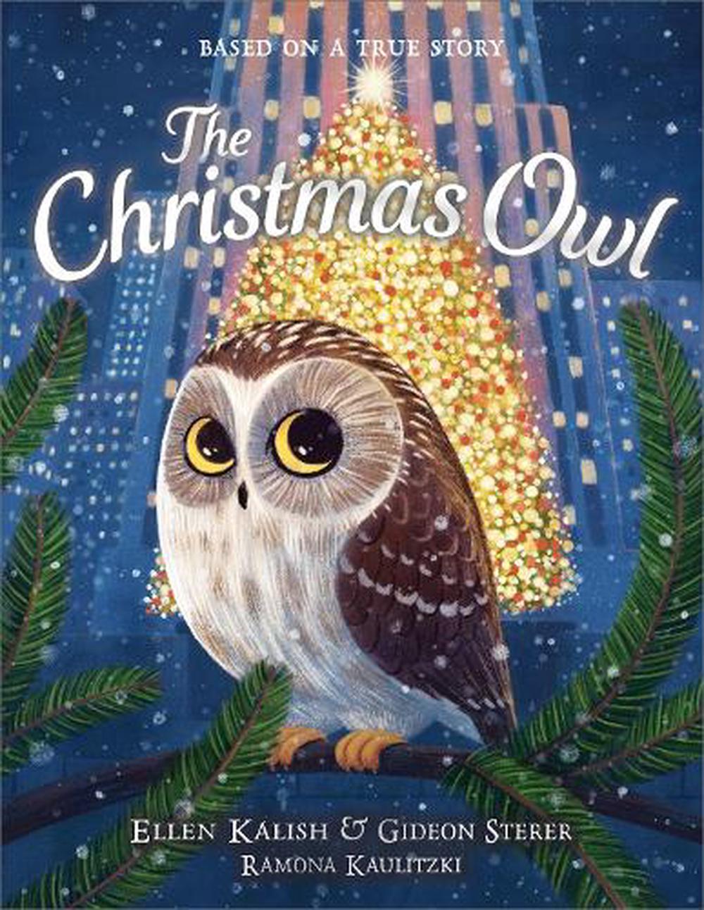 The Christmas Owl, 9781839132421