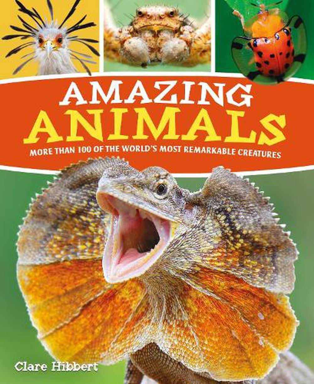 Amazing Animals by Claire Hibbert, Paperback, 9781839402807 | Buy online at  The Nile