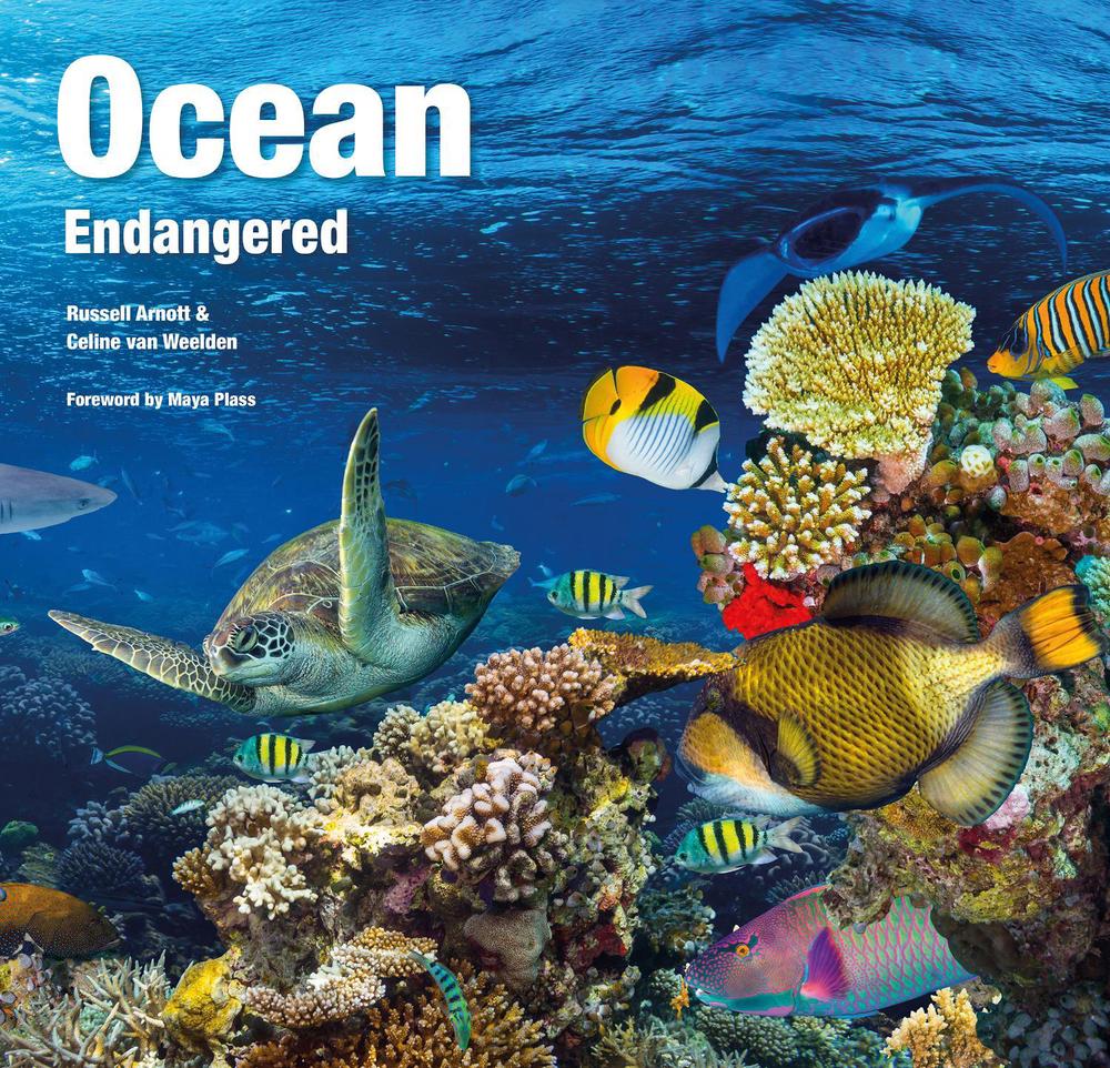 Ocean Endangered, 9781839644825