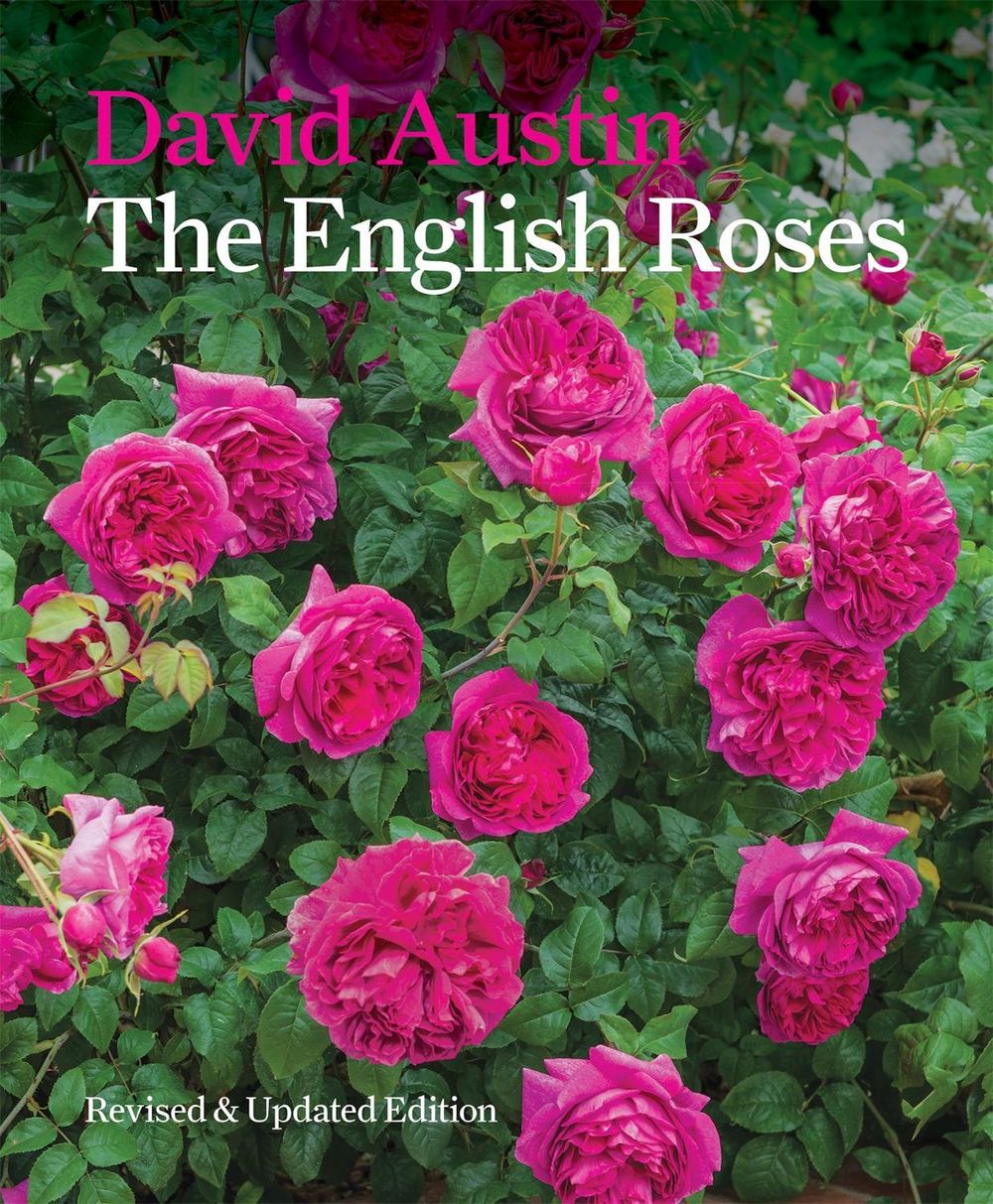 The English Roses by David Austin - ISBN: 9781840917512