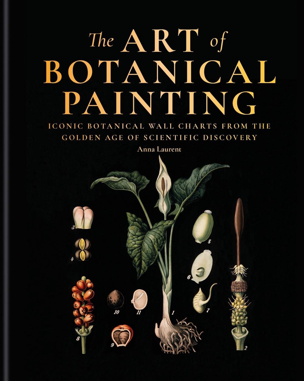 The Art of Botanical Painting, 9781840918953