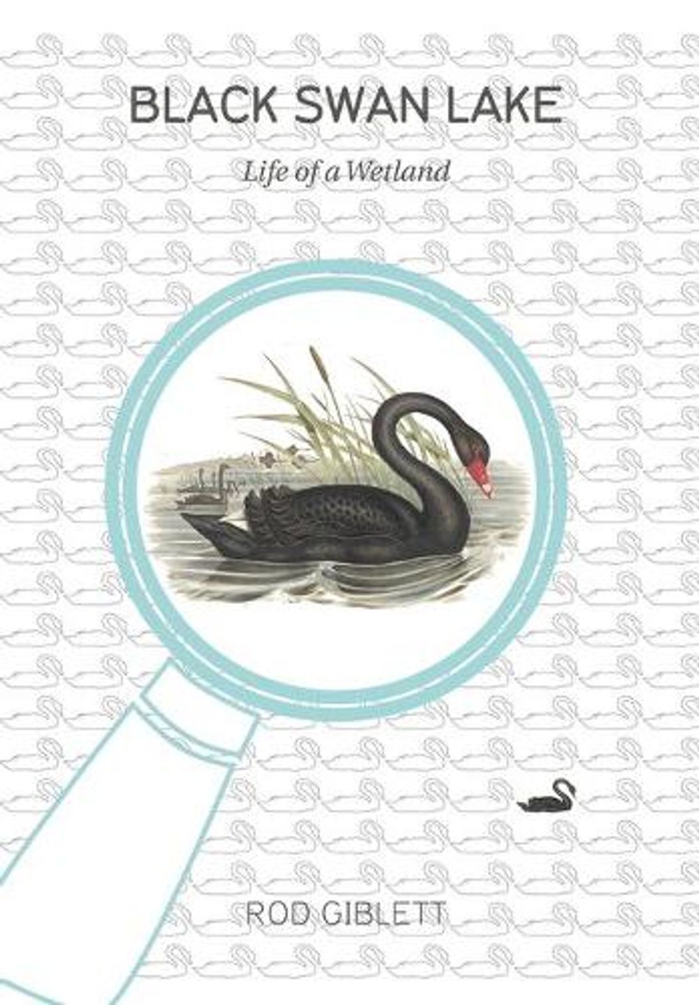 Black Swan Lake by Rod Giblett - ISBN: 9781841507040
