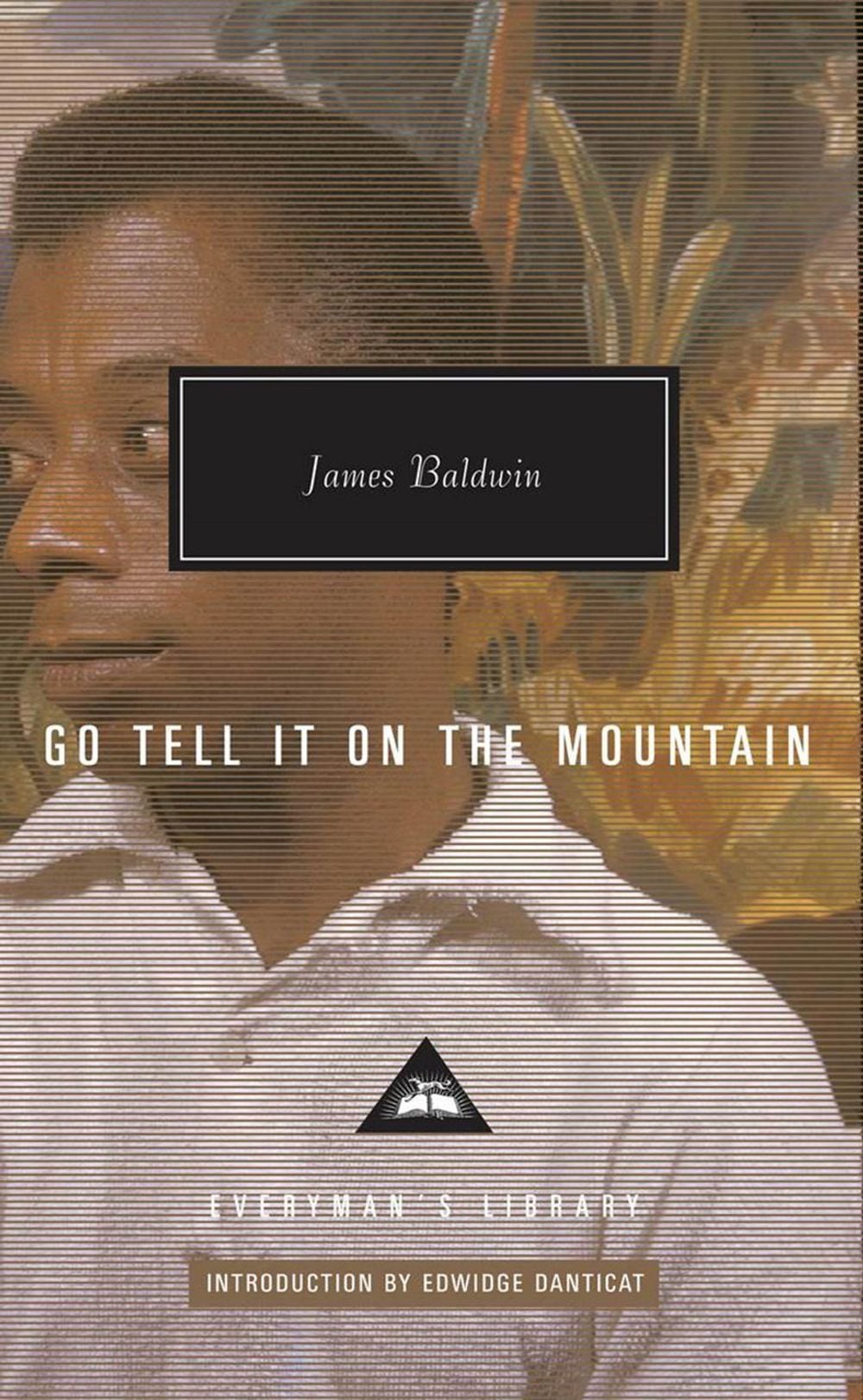 Go Tell It on the Mountain by James Baldwin - ISBN: 9781841593715