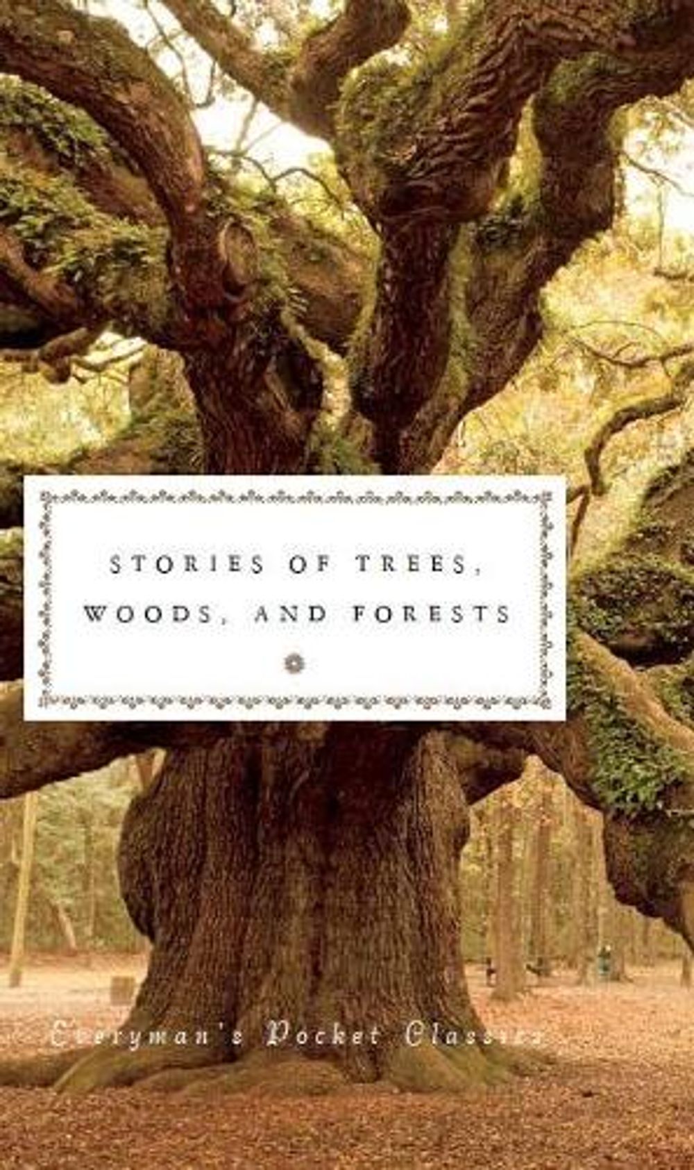 Stories of Trees, Woods, and Forests by Fiona Stafford - ISBN: 9781841596310