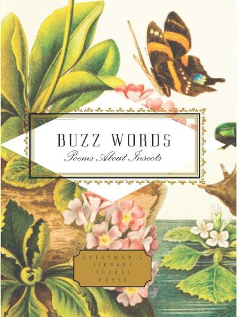 Buzz Words by Howard Schechter - ISBN: 9781841598215