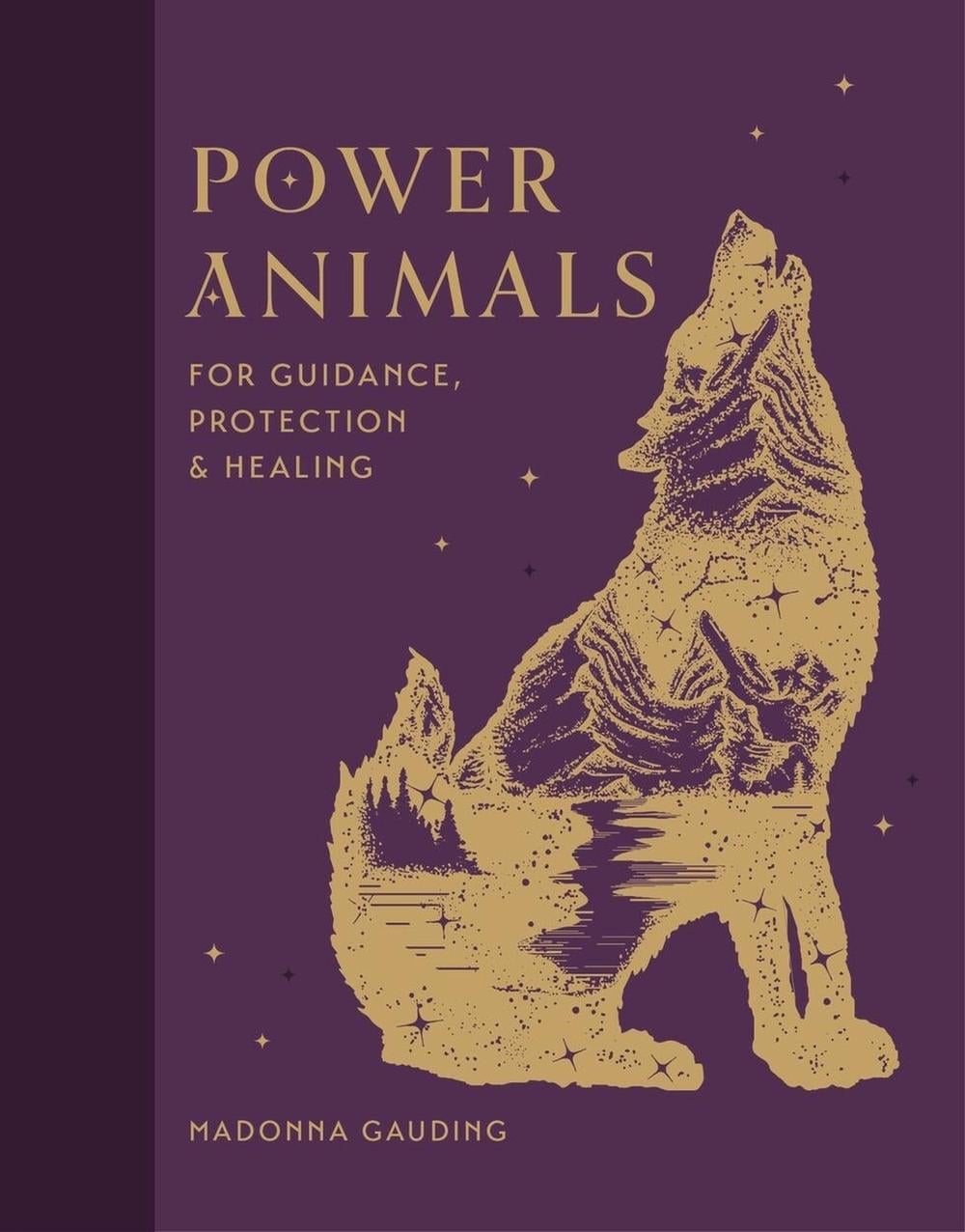 Power Animals by Madonna Gauding - ISBN: 9781841815688
