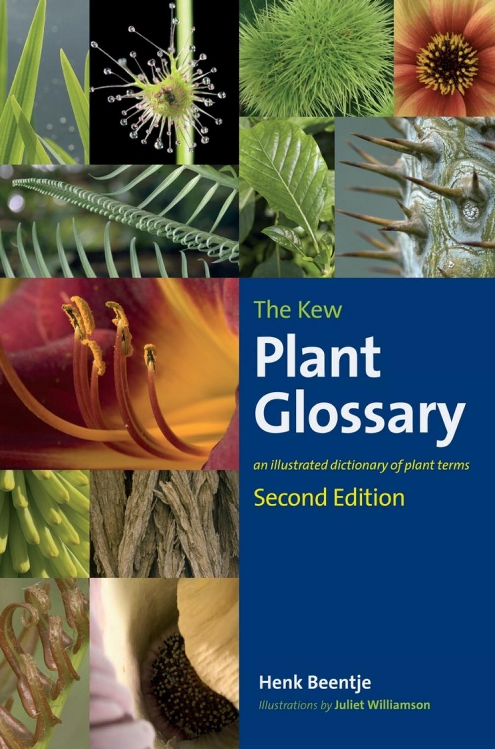 Kew Plant Glossary, The, 9781842466049