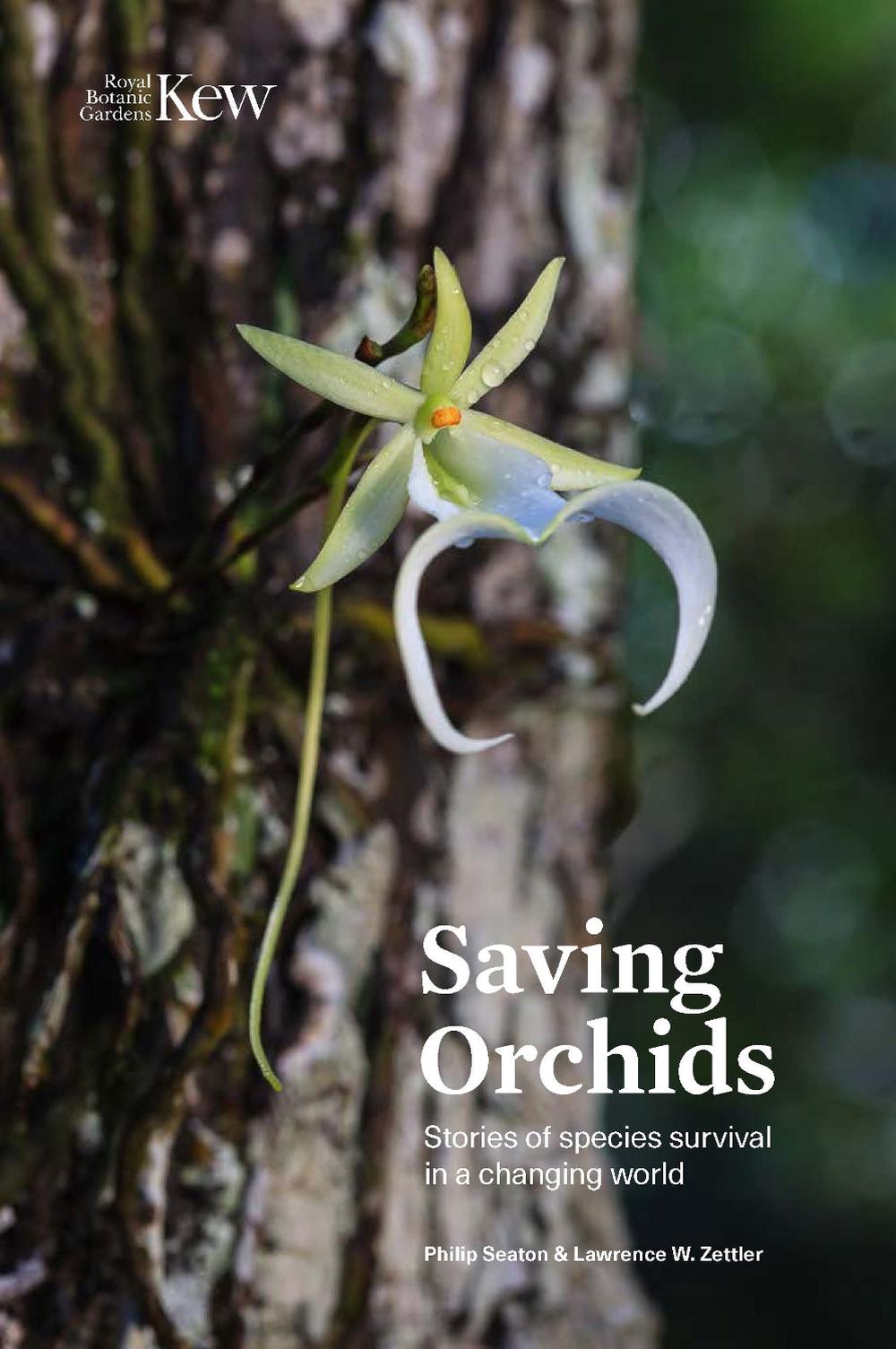 Saving Orchids, 9781842468319