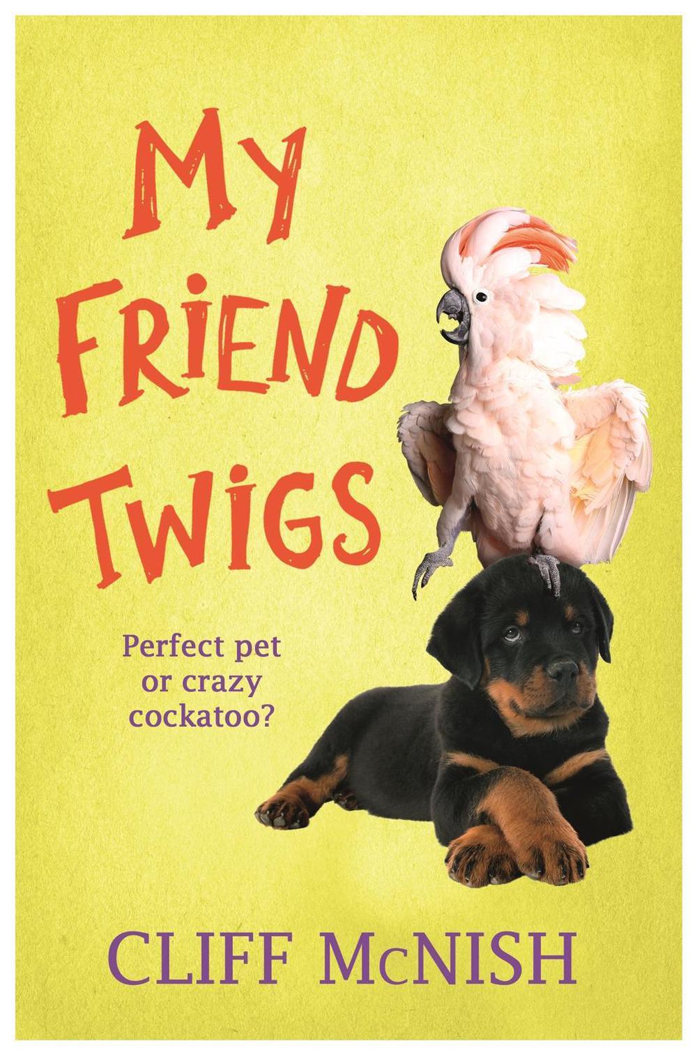 My Friend Twigs by Cliff McNish - ISBN: 9781842559956