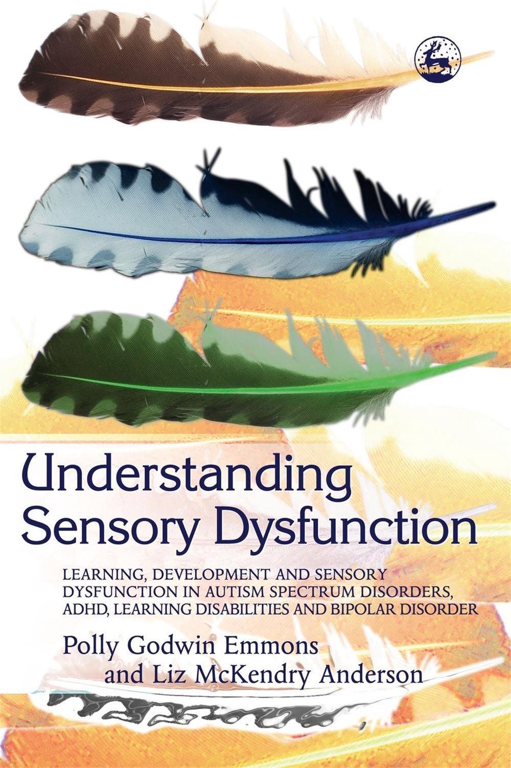 Understanding Sensory Dysfunction, 9781843108061