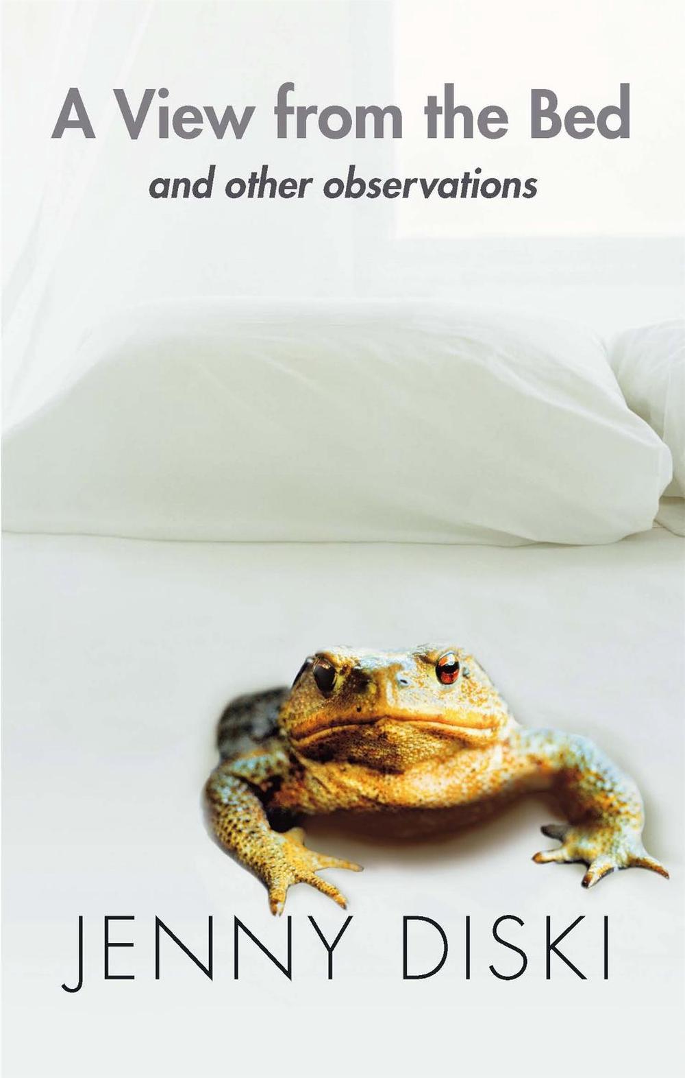 A View From The Bed And Other Observations by Jenny Diski - ISBN: 9781844080984
