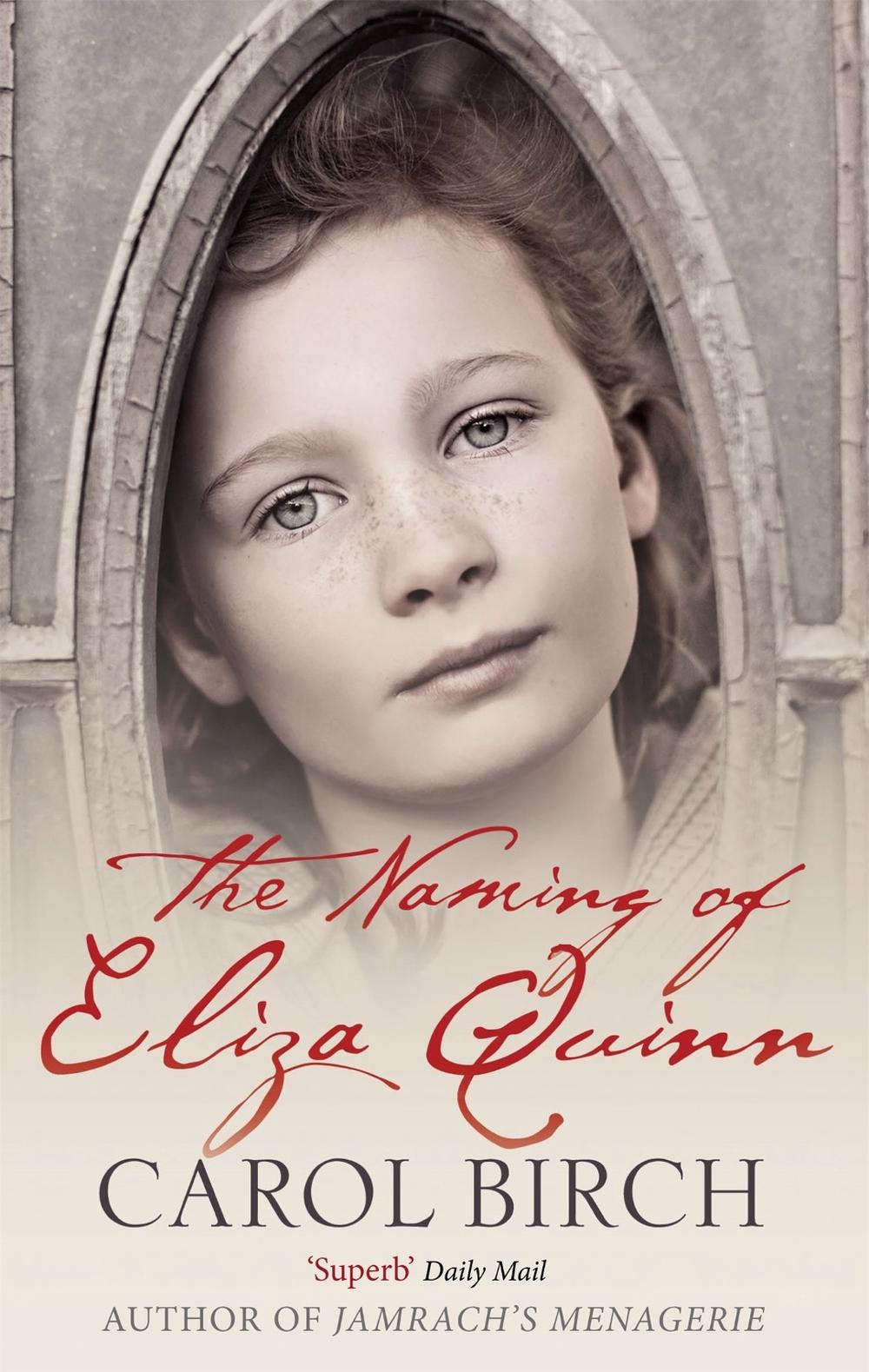 The Naming Of Eliza Quinn by Carol Birch - ISBN: 9781844081462