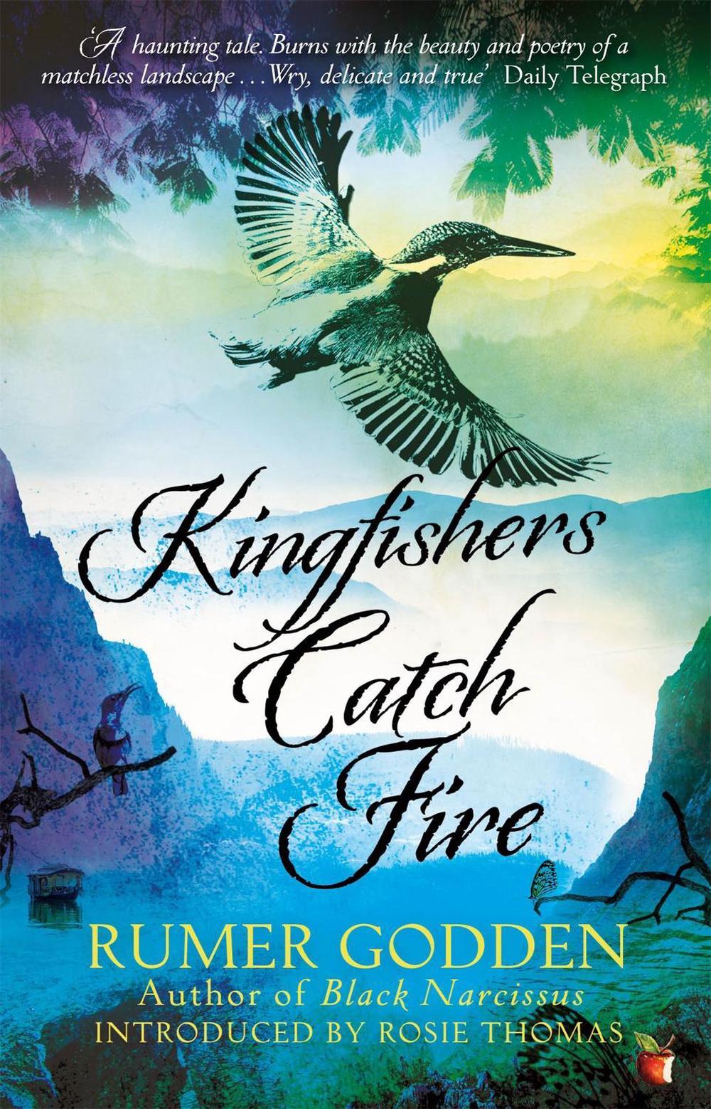 Kingfishers Catch Fire, 9781844088423