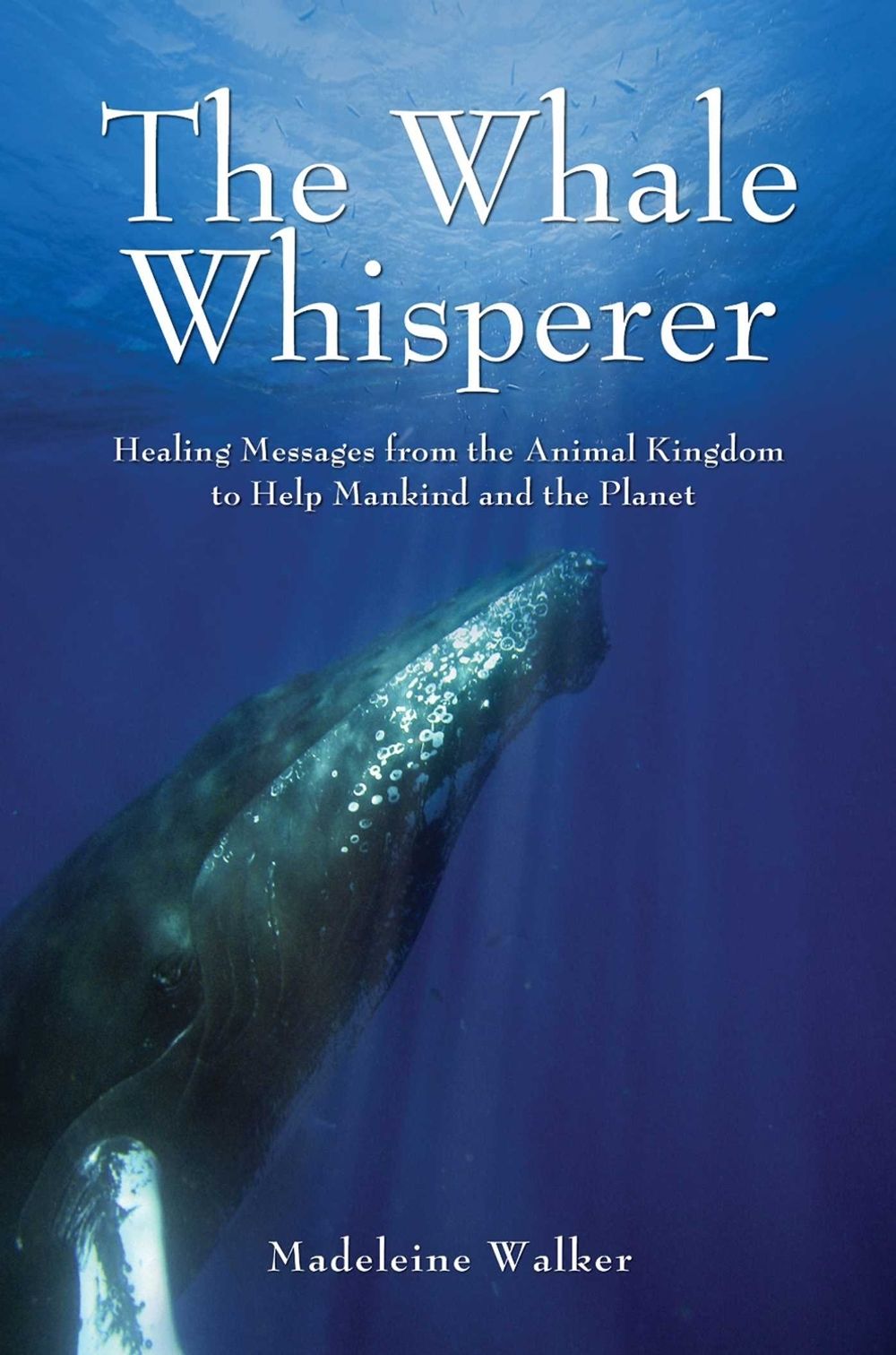 The Whale Whisperer by Madeleine Walker - ISBN: 9781844095377