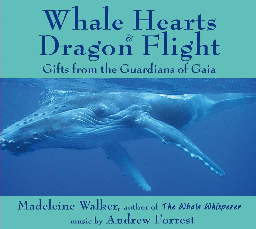 Whale Hearts and Dragon Flight by Madeleine Walker - ISBN: 9781844097012