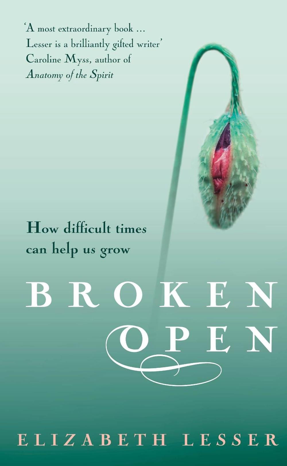 Broken Open by Elizabeth Lesser - ISBN: 9781844135615
