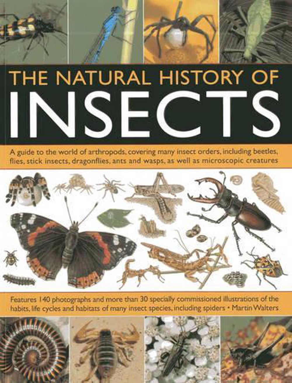 Natural History of Insects, 9781844764686