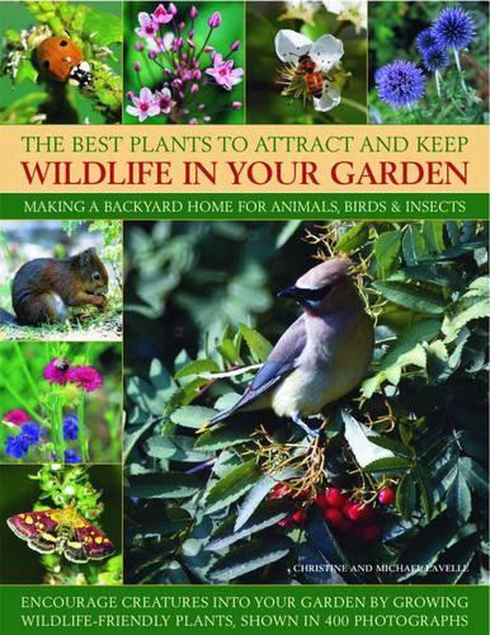 Best Plants to Attract and Keep Wildlife in the Garden, 9781844769650