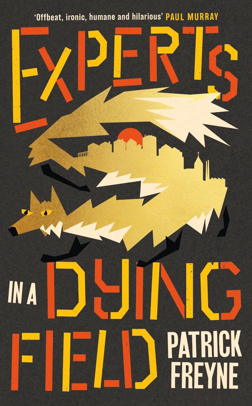 Experts in a Dying Field by Patrick Freyne - ISBN: 9781844886999