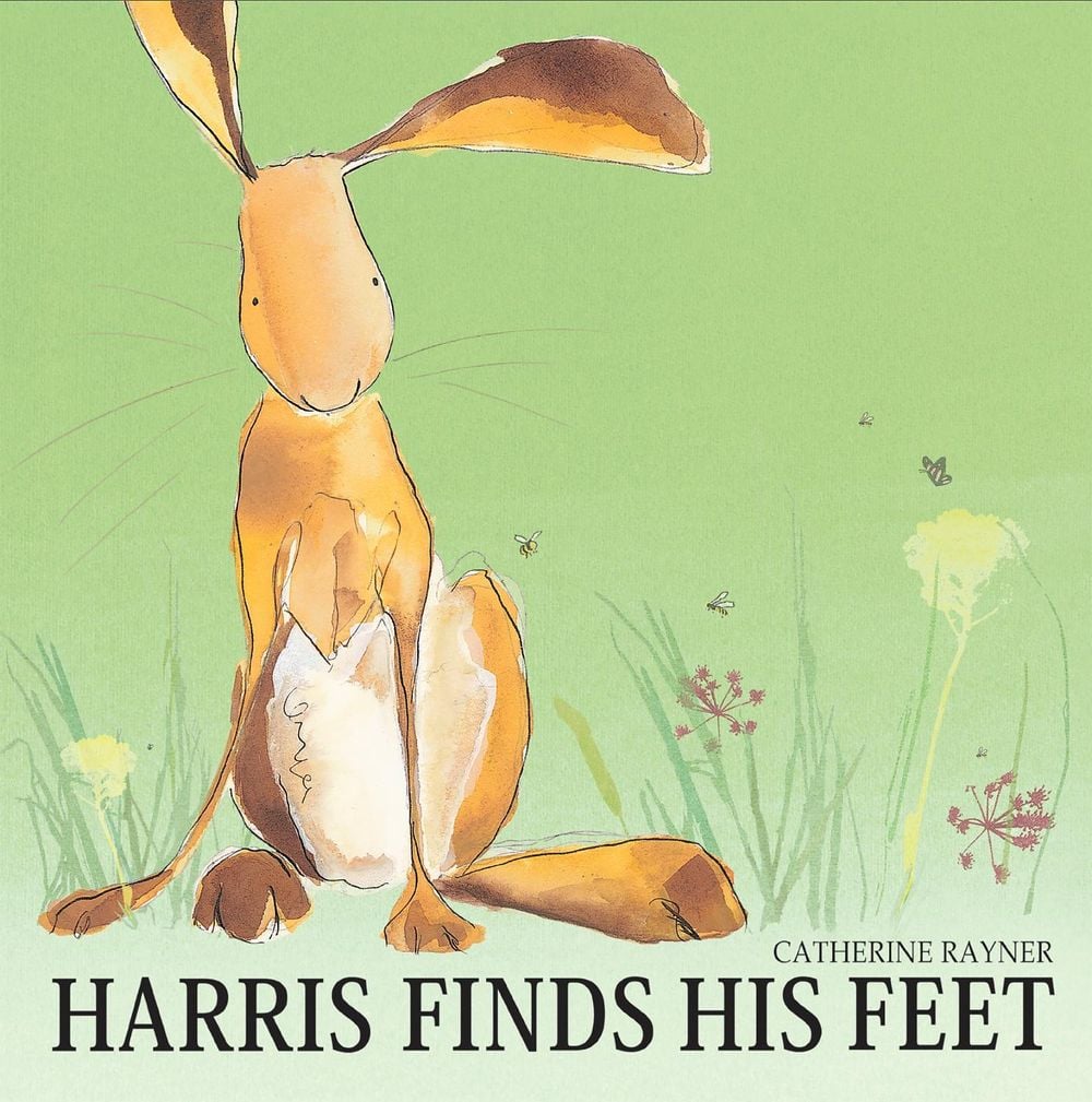 Harris Finds His Feet by Catherine Rayner - ISBN: 9781845065904