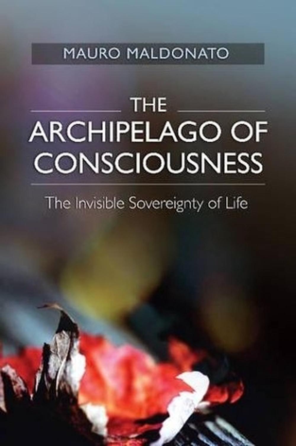 Archipelago of Consciousness by Mauro Maldonato, Paperback ...