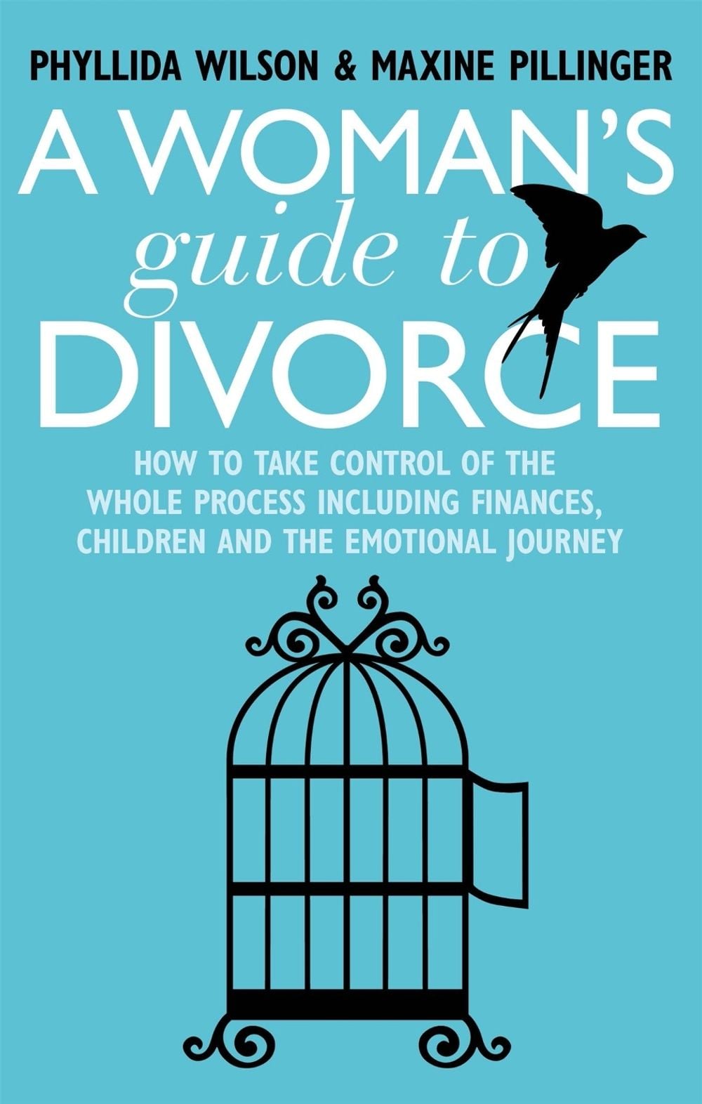 A Woman's Guide to Divorce by Phyllida Wilson - ISBN: 9781845286095