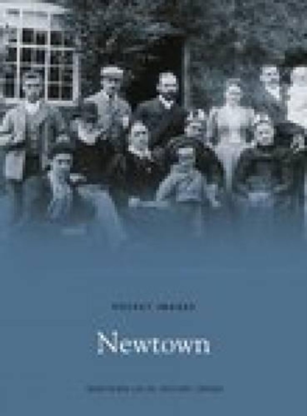 Newtown by Newtown Local History Group - ISBN: 9781845883003