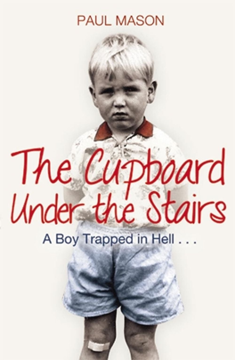 The Cupboard Under the Stairs by Paul Mason - ISBN: 9781845967895