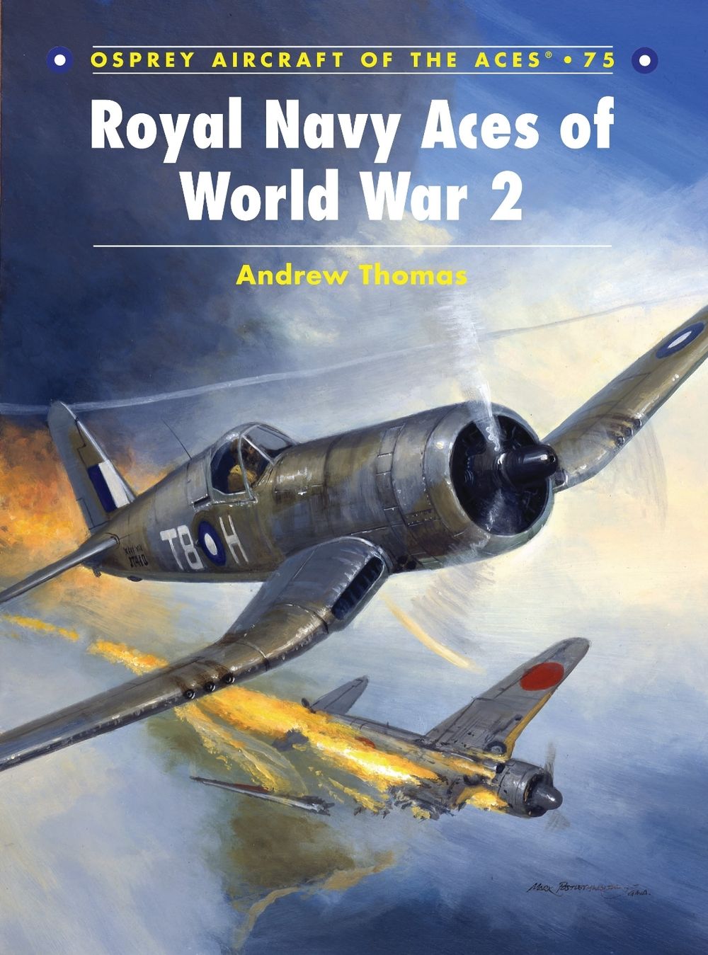 Royal Navy Aces of World War 2 by Andrew Thomas, Paperback, 9781846031786 | Buy online at The Nile