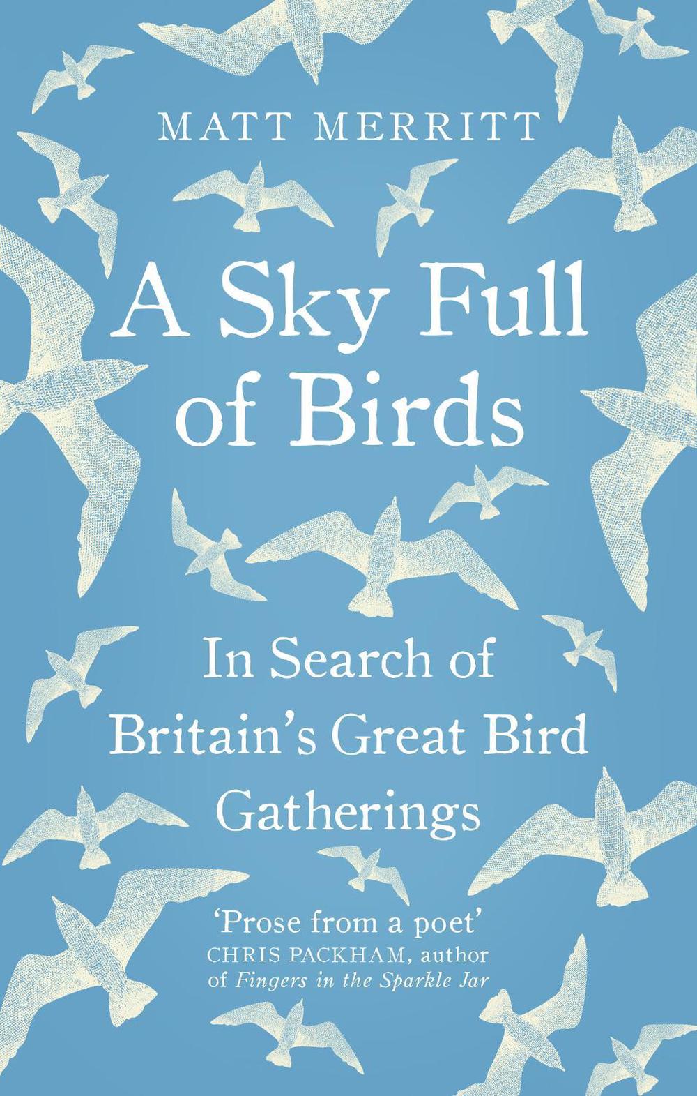 A Sky Full of Birds by Matt Merritt - ISBN: 9781846044809