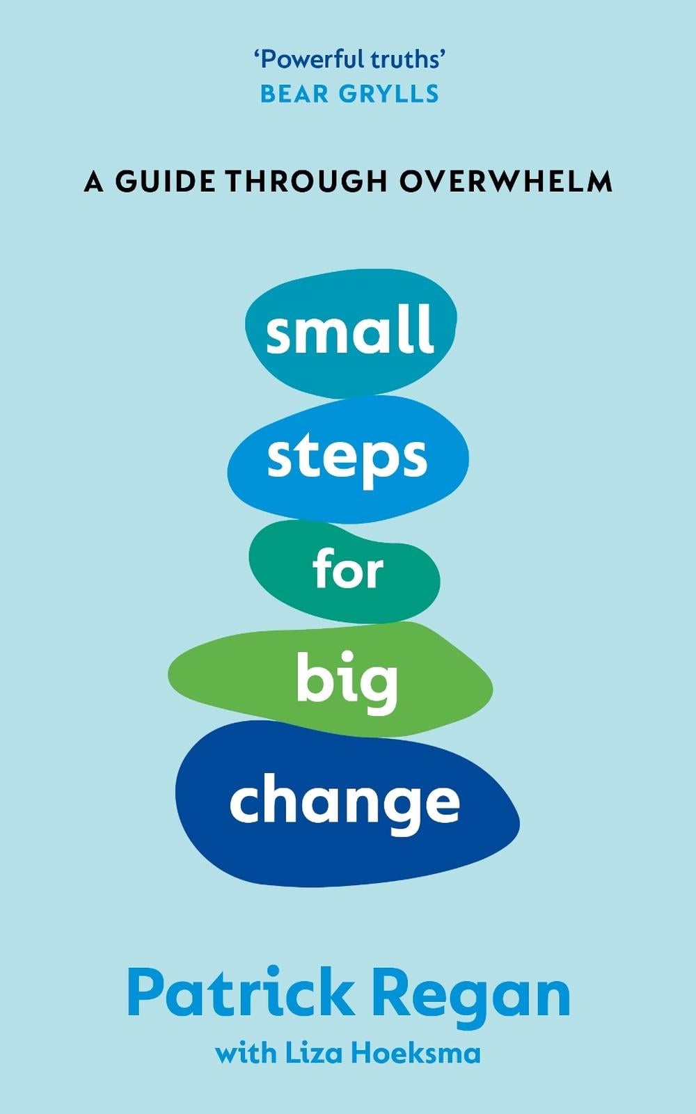 Small Steps for Big Change by Patrick Regan - ISBN: 9781846048944