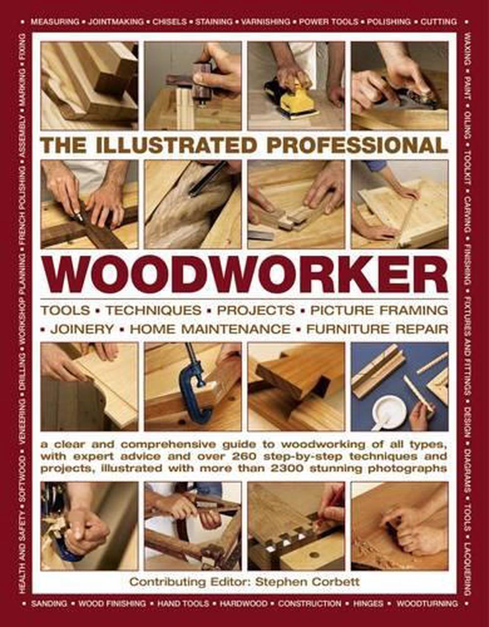 Illustrated Professional Woodworker, 9781846810480