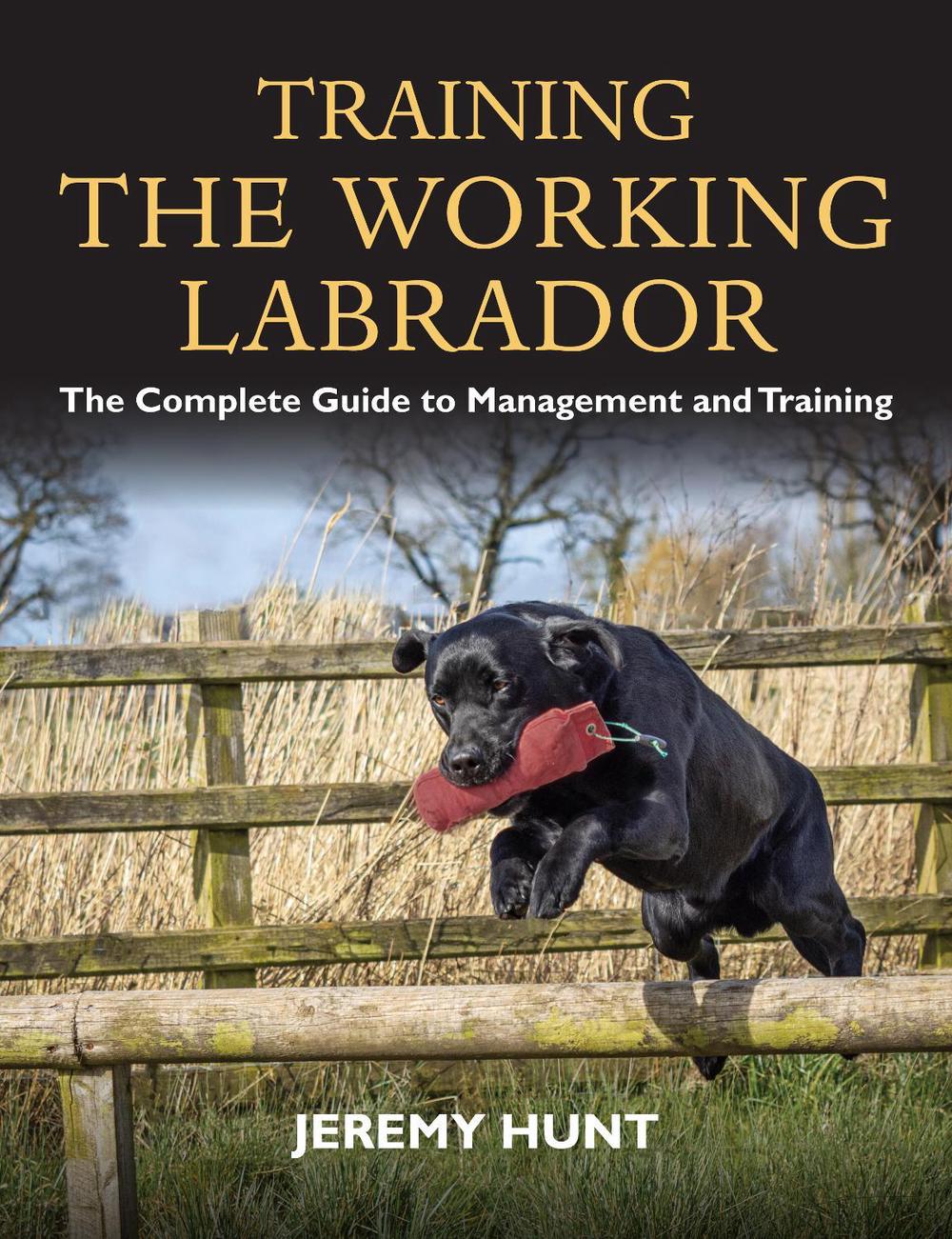 Training the Working Labrador by Jeremy Hunt - ISBN: 9781846893698