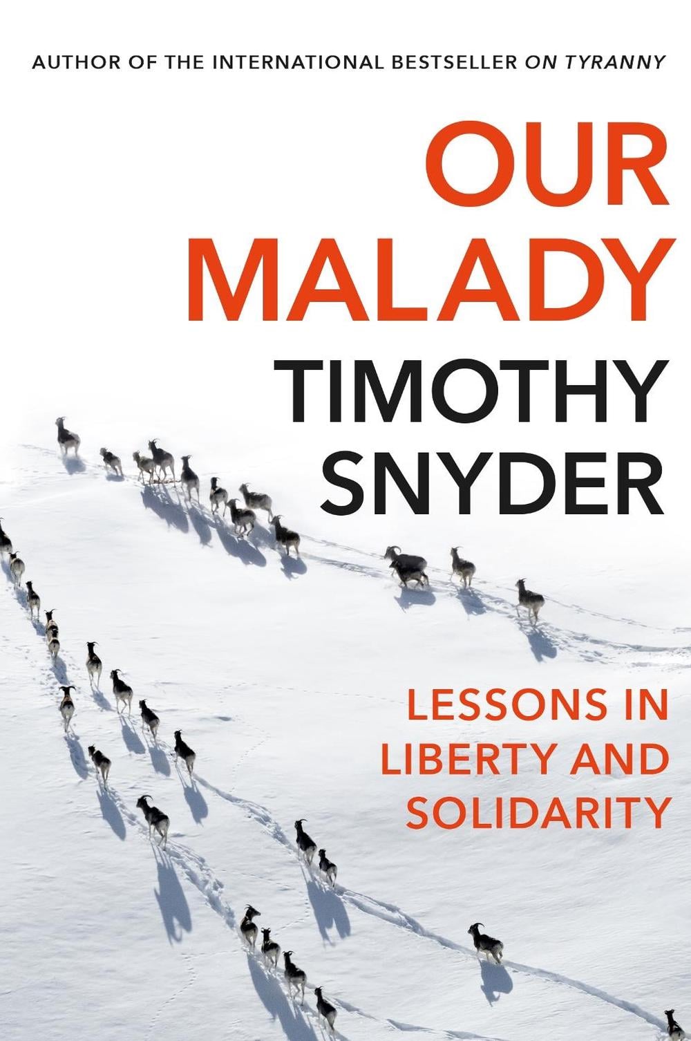 Our Malady by Timothy Snyder - ISBN: 9781847926661