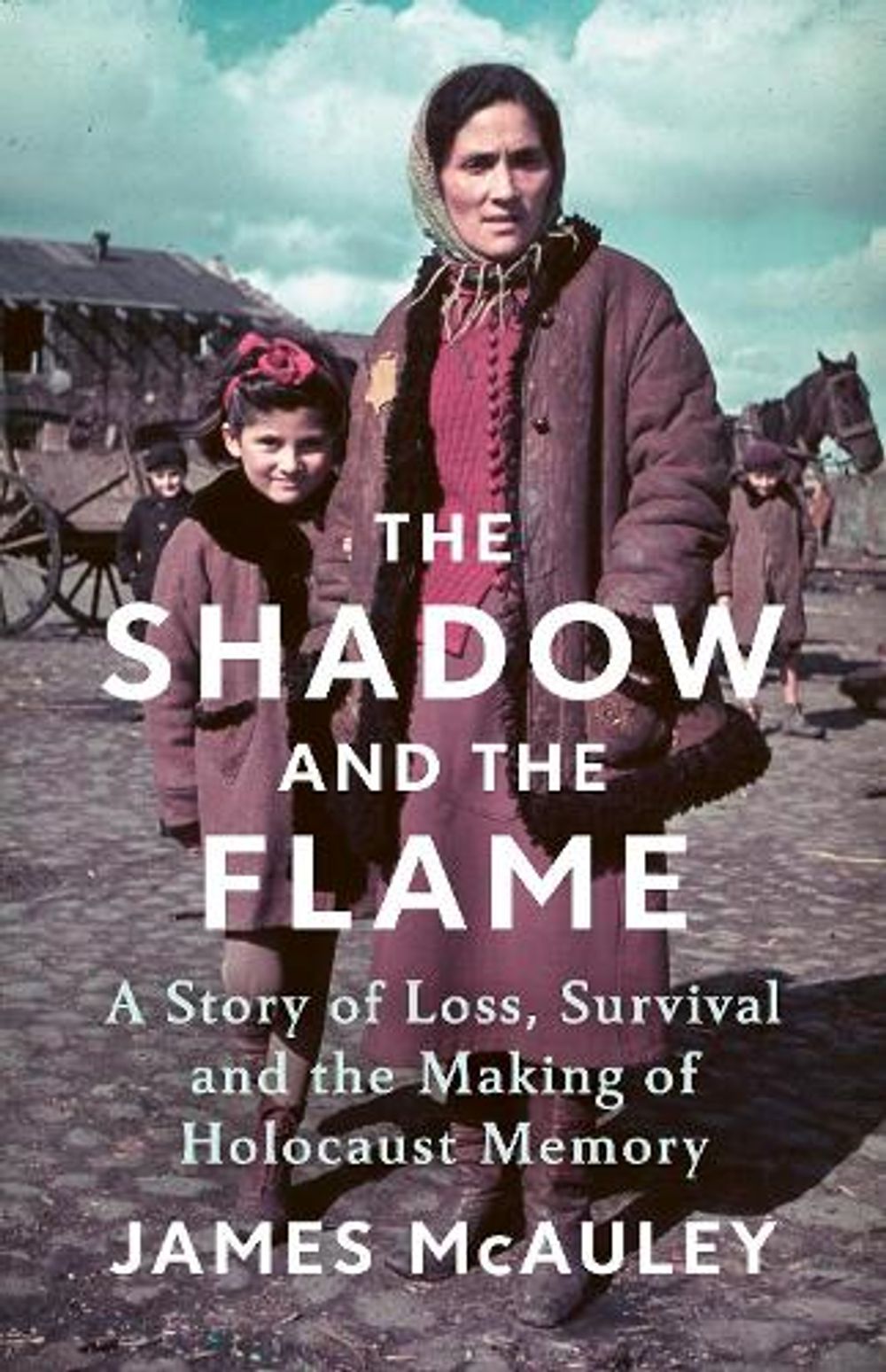 The Shadow and the Flame by James McAuley - ISBN: 9781847927385