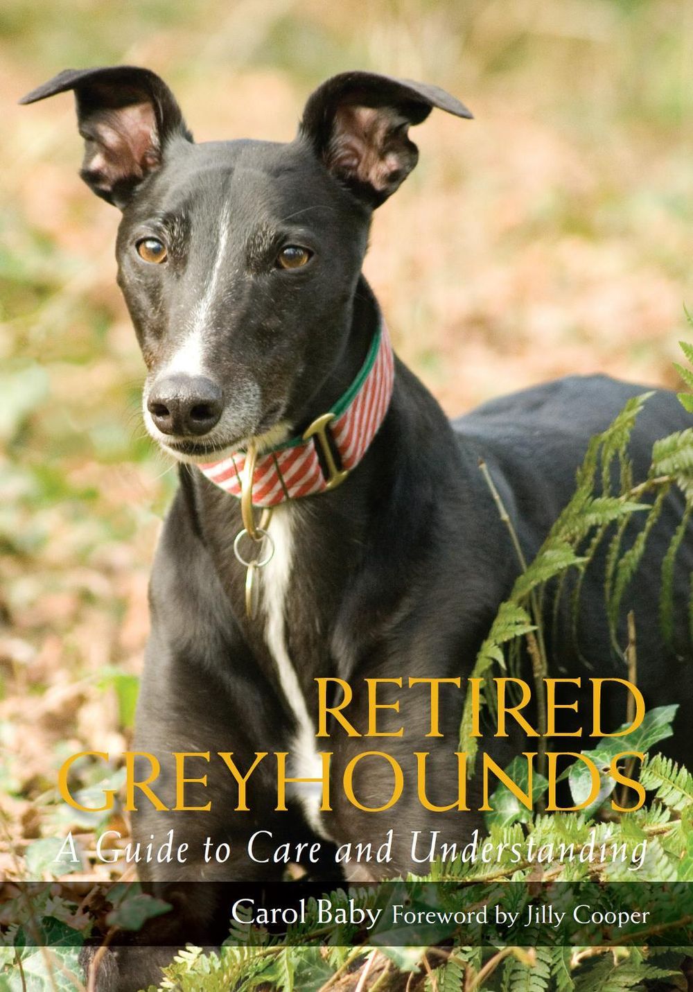 Retired Greyhounds by Carol Baby - ISBN: 9781847971654
