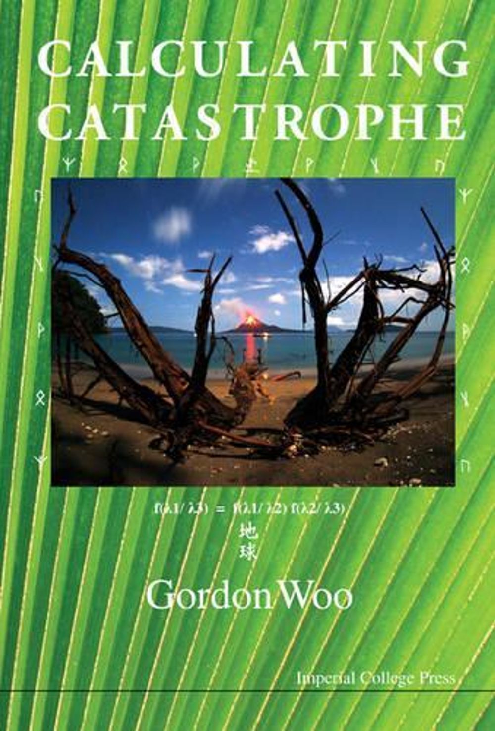 Calculating Catastrophe by Gordon Woo - ISBN: 9781848167391