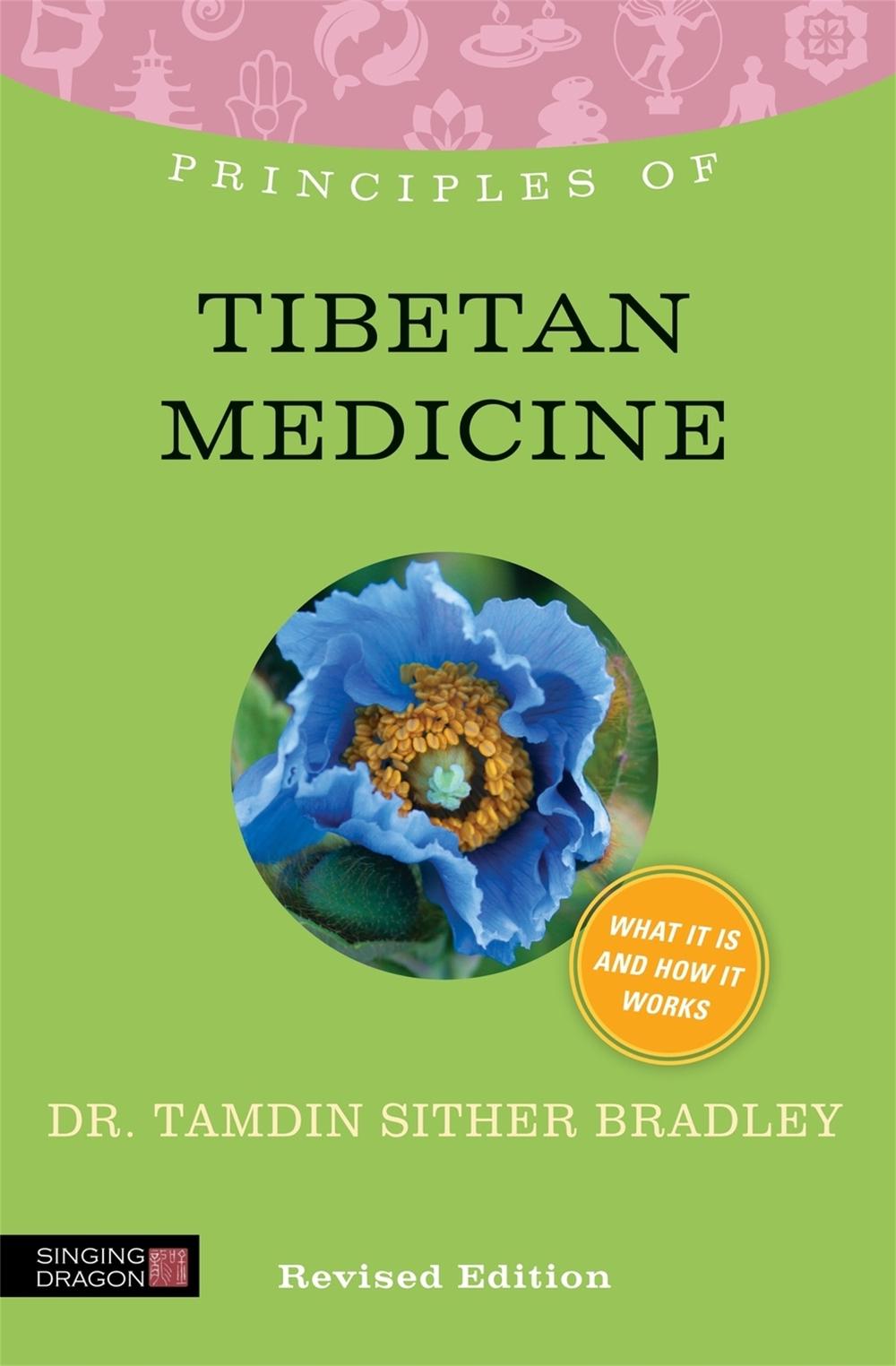 Principles of Tibetan Medicine, 9781848191341